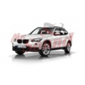 BMW X1   ROADNAV LM C219 OEM HD